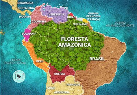 em qual região do brasil está localizada a floresta amazônica